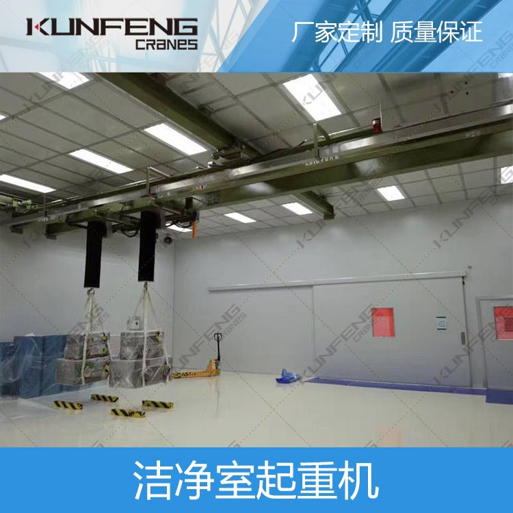 洁净起重机